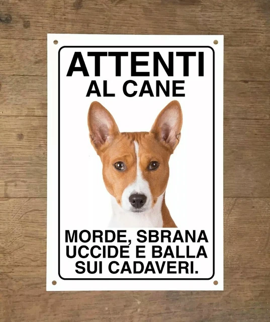 Danger BORDER COLLIE Zone - CARTELLO ATTENTI AL CANE In Adesivo Resist - 10