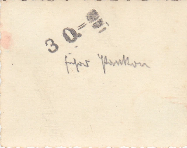 Foto WH Soldat 3. Gebirgs-Division Berlin Reichskanzlei Auto Cabrio Geb.Jg. *192 3