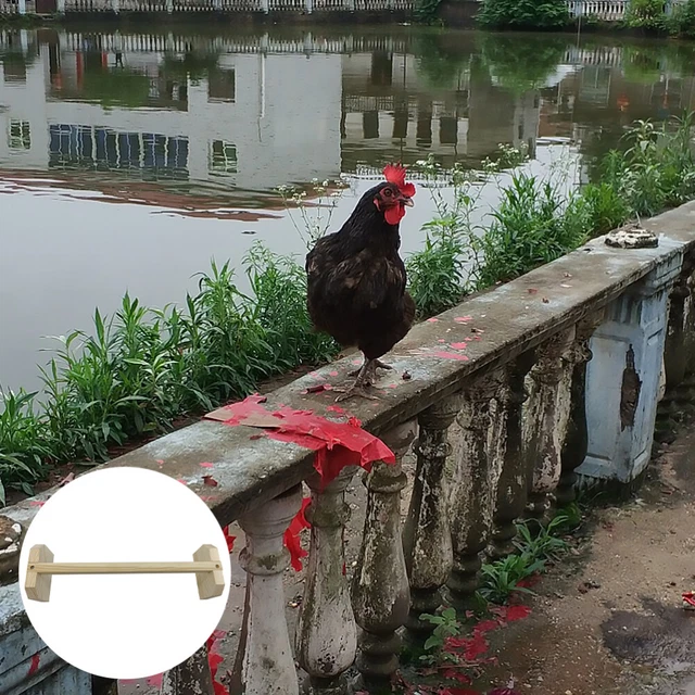 Giocattoli Carica Pollo KOMBIUDA - 4 Pezzi Peluche A Molla Per Bambini - Foto 8