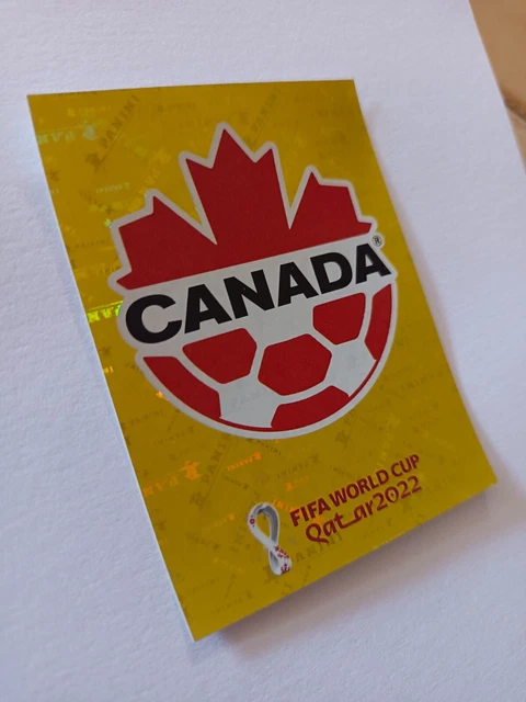 COUPE DU MONDE Trophé/Trophy/Copa - World Cup Qatar 2022 Argentine
