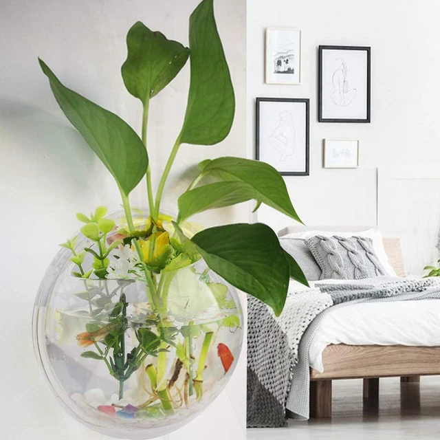 2Pack Wall Hanging Fish Tank,Mounted Fish Bowl Betta Tank Fish Plant Tanks Hangi 4