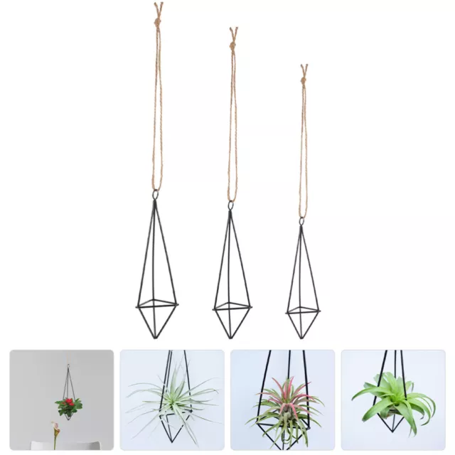 3 Pcs Tillandsia Holder Air Pineapple Stand Plants for inside The House Hanging