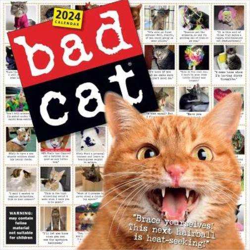 WORKMAN CALENDARS BAD Cat Wall Calendar 2024 (Calendar) (PRESALE 18/07