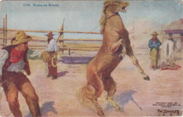 Artist signed FW Schultz Roping the Broncho Western Cowboy Vintage POSTCARD 1744