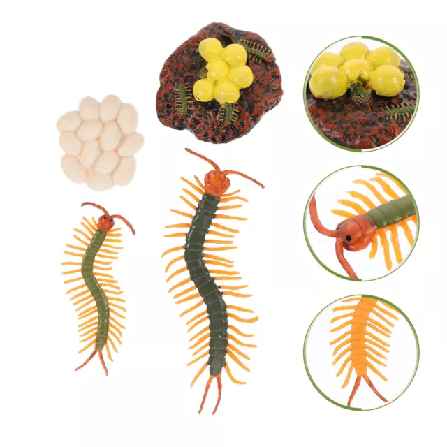 Figur Spielzeug Insekten Spielzeug Centipede Wachstum Modell