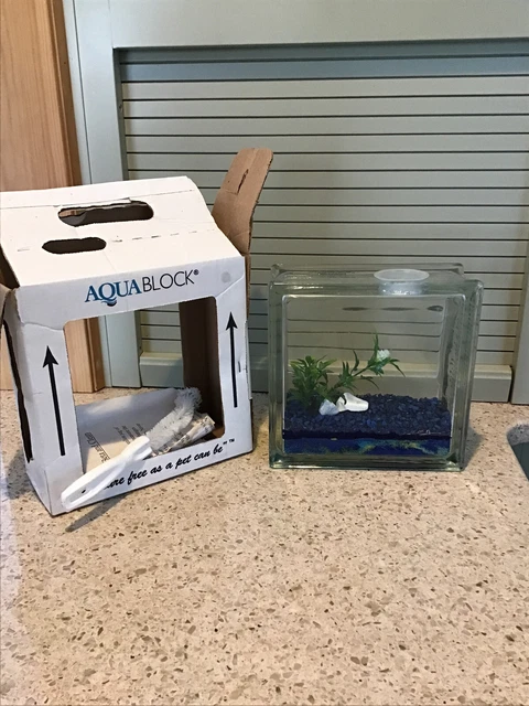 AquaBlock Square Glass Block Betta Fish Tank Bowl w/Plant and Gravel 7.5x7.5
