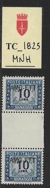 TC_1825. TRIESTE FTT. Gutter pairs of 10 Lire 1949 "SEGNATASSE". MNH