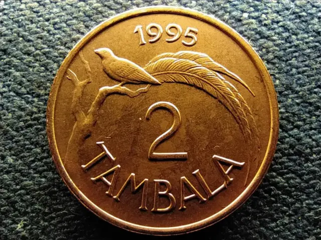 Malawi Republic (1966- ) 2 Tambala Coin 1995