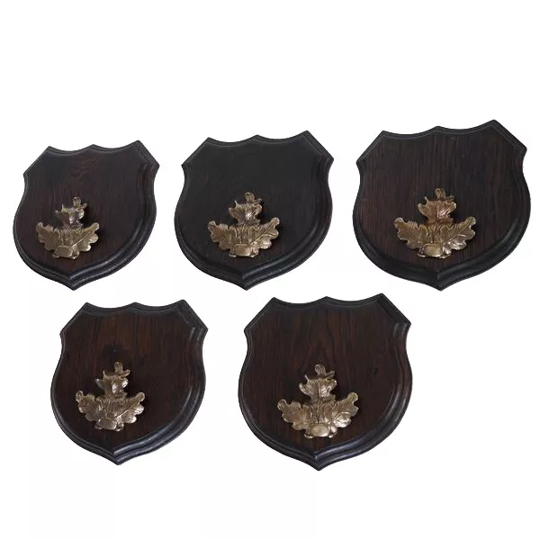 5x Wappenschilder Jabalí Af 17cm Escudo de Trofeo Hoja de Roble Portada Grande