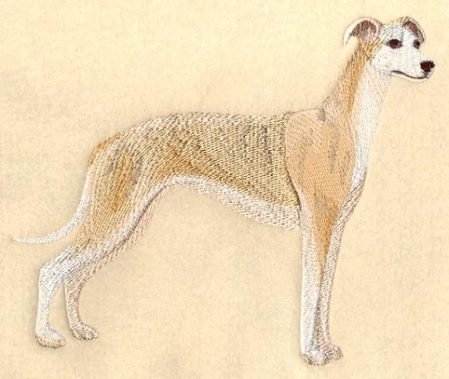 Embroidered Ladies T-Shirt - Whippet C3526 Sizes S - XXL