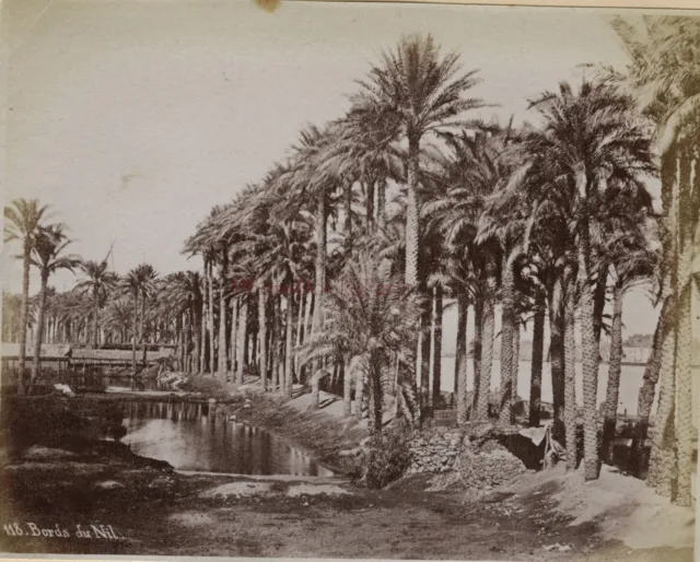 Egipto Foto Albúmina Impresión de Aprox. 1890 - Pequeño Formato