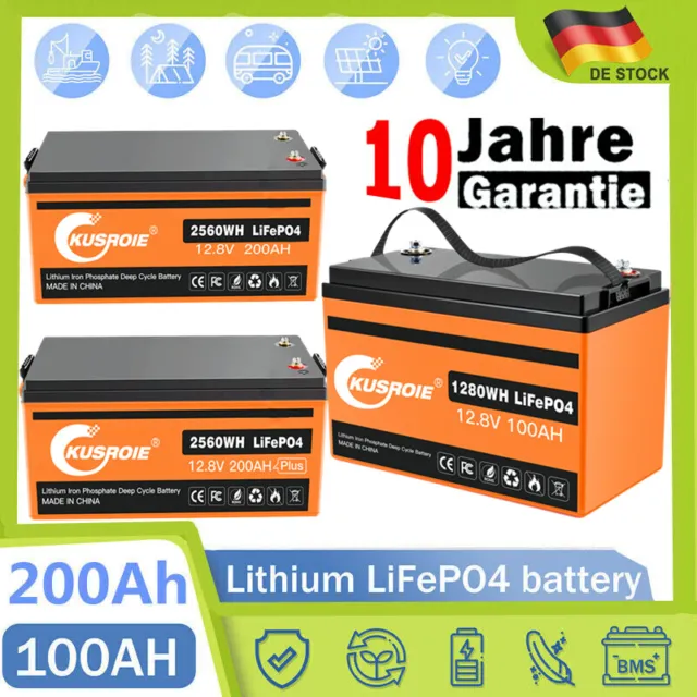 12V 100/200Ah Lithium Batterie LiFePO4 Akku BMS für Wohnmobil Solarbatterie Boot