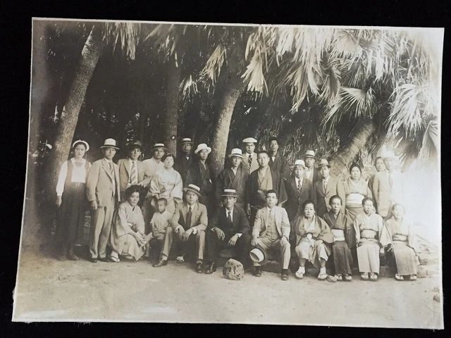 #608 Japanese Vintage Photo 1940s / Palm tree young man hat suits group people