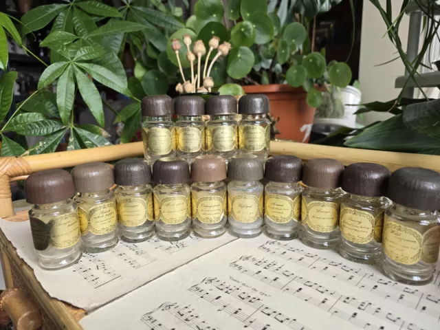 Apothecary spice jars best sale