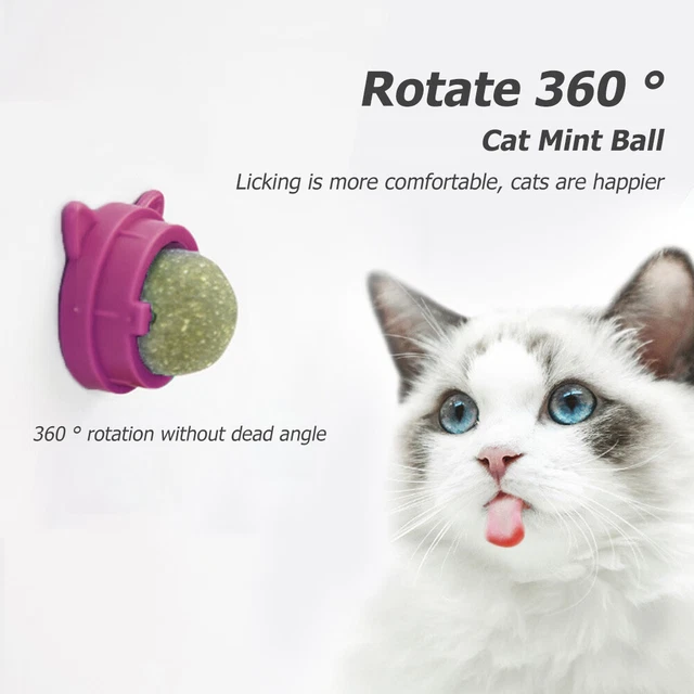Bola giratoria de menta para gatos, bolas de fugas naturales para gatos, molares-menta para gatos-