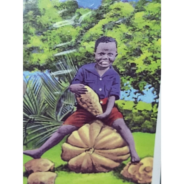 African American kid on pumpkin post card vintage 1940s? Dixie card blank back