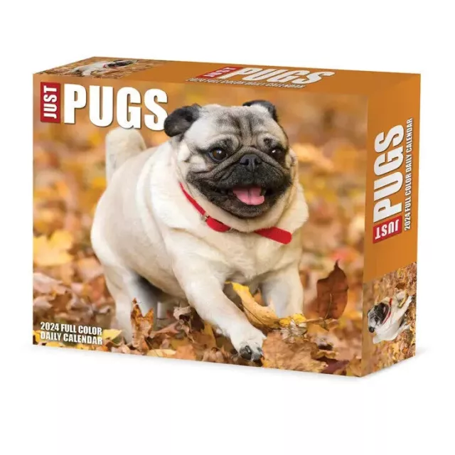 Willow Creek Pugs 2024 6.2" x 5.4" Box Calendar w