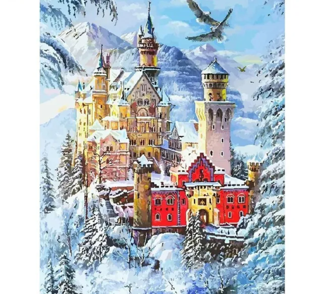 Paint by Number Kits Winter Snow Scene DIY Paint for Adults 16 x 20in