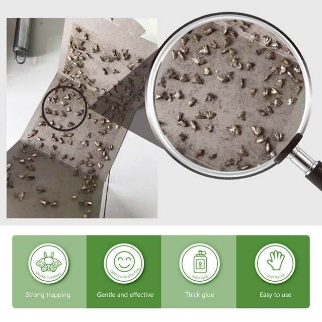 HD Premium Pantry Clothes Kitchen Food Moth Pheromone Attractant Moth Killer New