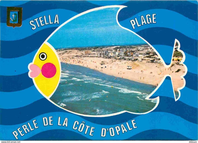 62-stella-plage-la-plage-vue-a-rienne-cpm-voir-scans-recto
