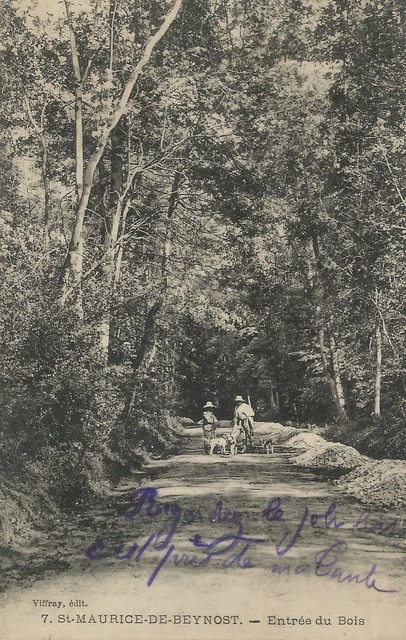 CPA - St-Maurice-de-Beynost - Entrance du Bois