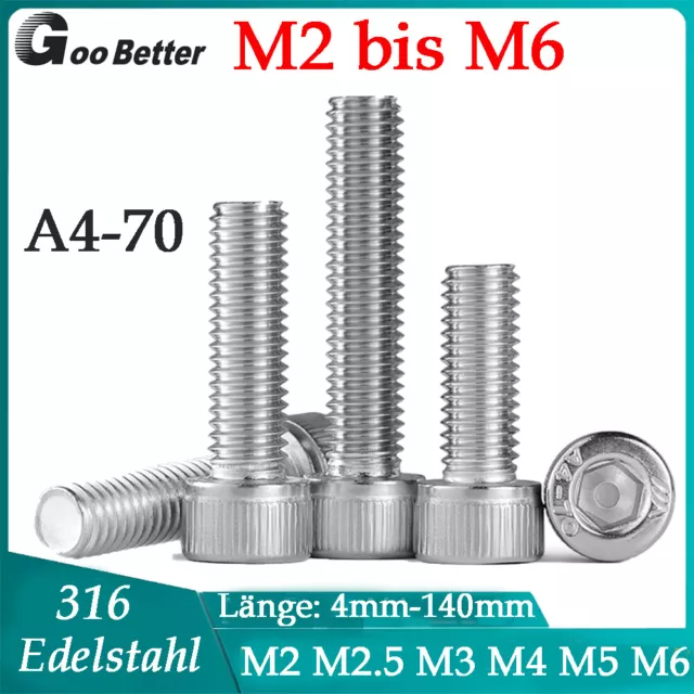 M2 M3 M4 M5-M6 316 Edelstahl Inbusschraube Zylinderkopfschrauben Innensechskant