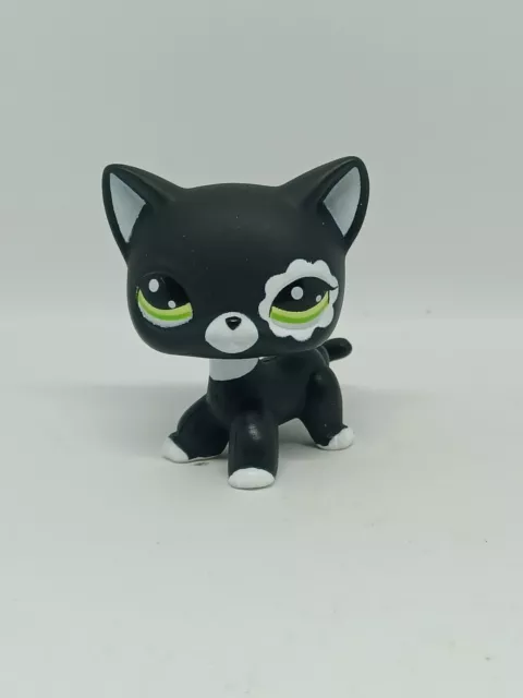 Figurine Petshop chat européen noir Tatoué en très bon état lps rare