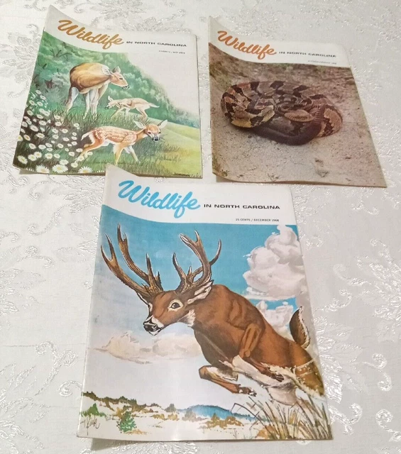 VINTAGE WILDLIFE IN North Carolina Magazines 1968 12.00 PicClick