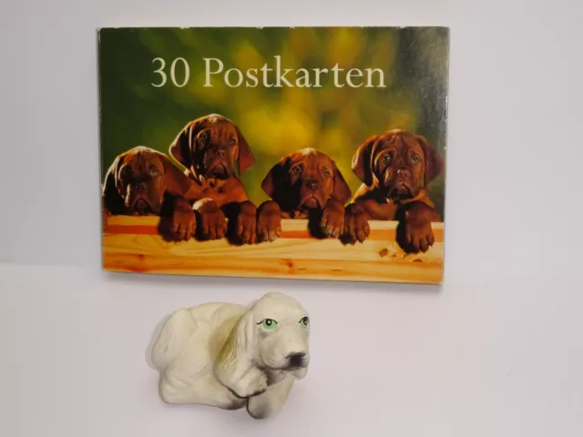 30 Postkarten Karten Grußkarten Hunde Ansichtskarten Motivkarten RARITÄT