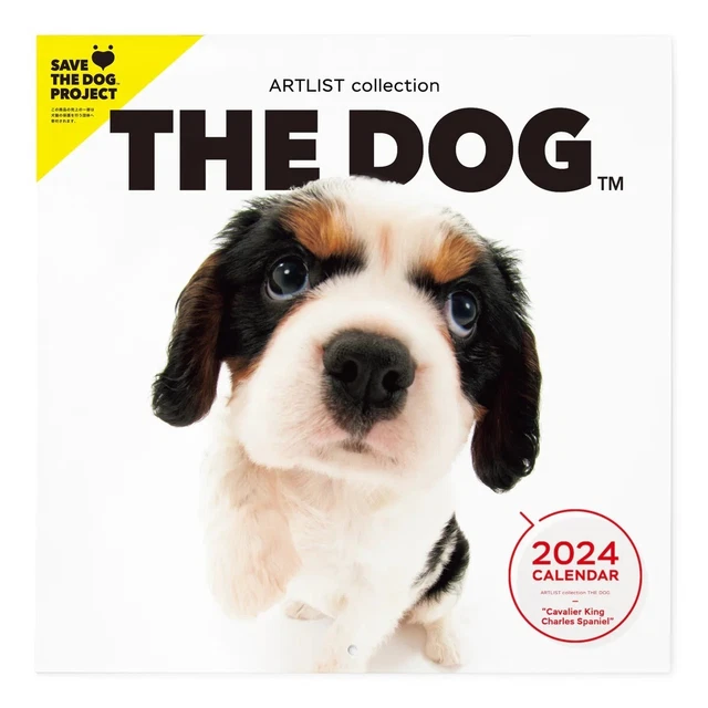 THE DOG 2024 Calendar (Cavalier King Charles Spaniel) Large & Mini