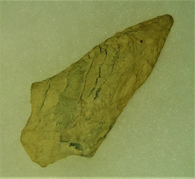 vad - ATLANTIC PHASE BLADE - PLYMOUTH COUNTY, MA