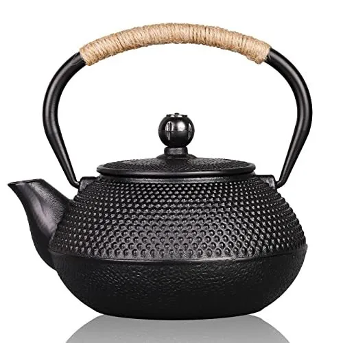 Cast Iron Teapot Japanese Tetsubin Coated With Stainless Steel Infuser Stovetop