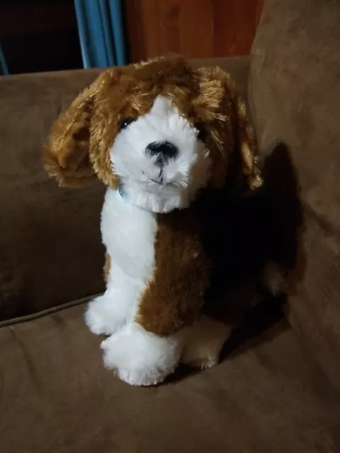 Habitat for humanity plush hot sale dog