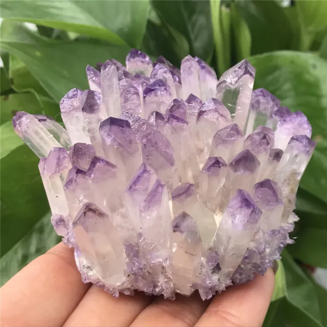 290g New Find Purple Phantom Quartz Crystal Cluster Mineral Specimen Healing