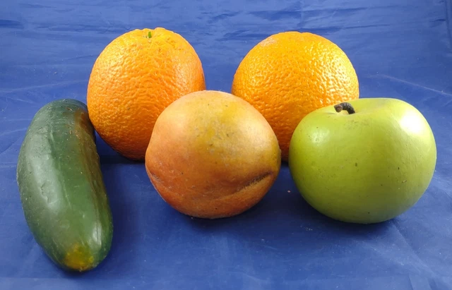 5 Ceramic Faux Fruit Vegetable HEAVY Matte Home Decor Staging