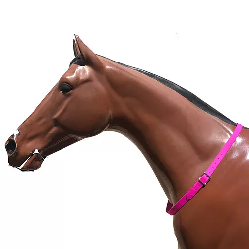Horse Safety Neck 1 Inch Strap All Sizes & Colours