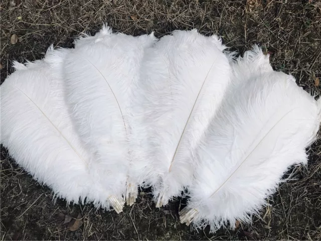 5-100pcs high quality beautiful white ostrich feathers 6-24 inches / 15-60 cm