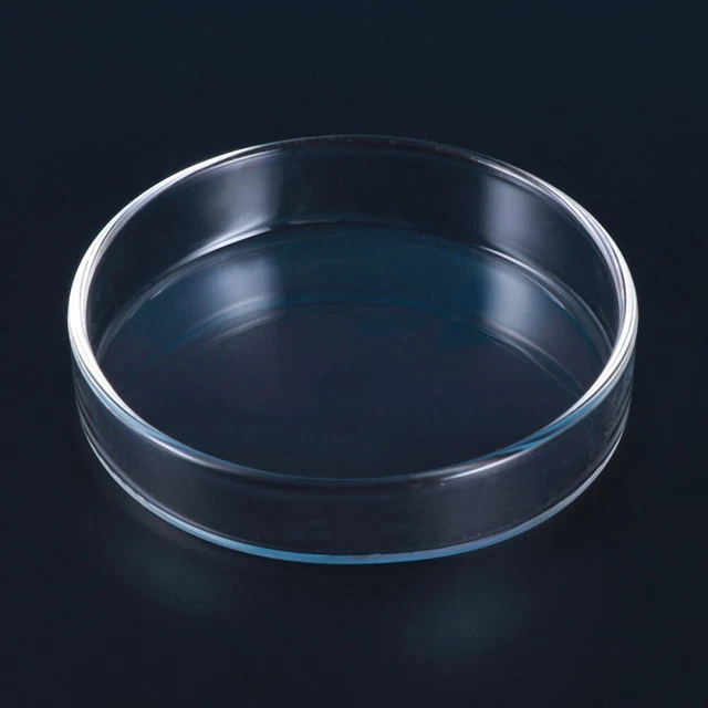 Glass Fish Tank Feeding Bowls Aquarium Shrimp Feeder Dish Small Aquarium