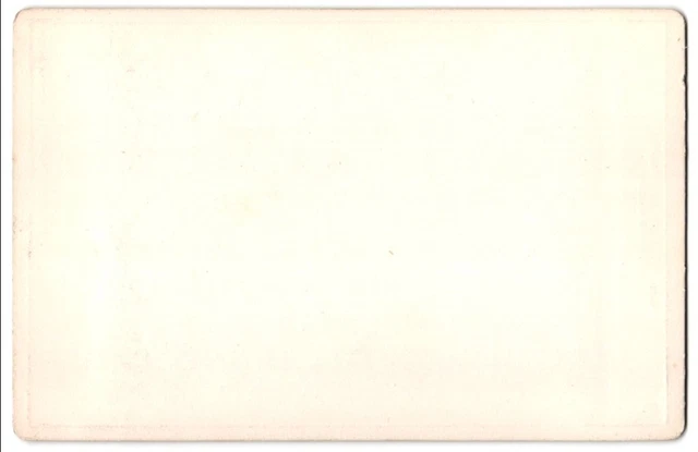 Fotografie F. & O. Brockmann´s Nachf., Dresden, Gemälde Die Kinder nach C. L. V 2