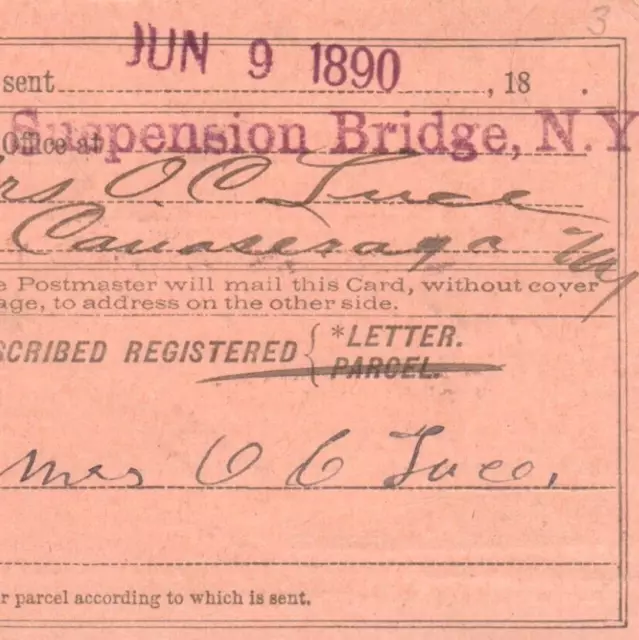 1890 Registry Return Receipt Card Suspension Bridge Bellevue Canaseraga NY