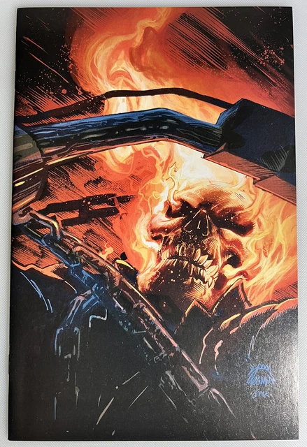 Ghost Rider # 1 Return Of Vengeance 1:100 Stegman Marvel Virgin Variant Edition