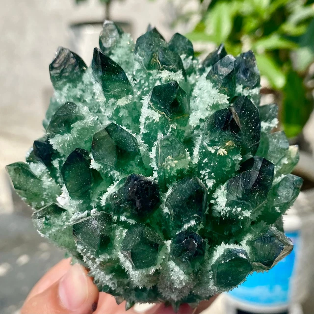 549G New Find green Phantom Quartz Crystal Cluster Mineral Specimen Healing.