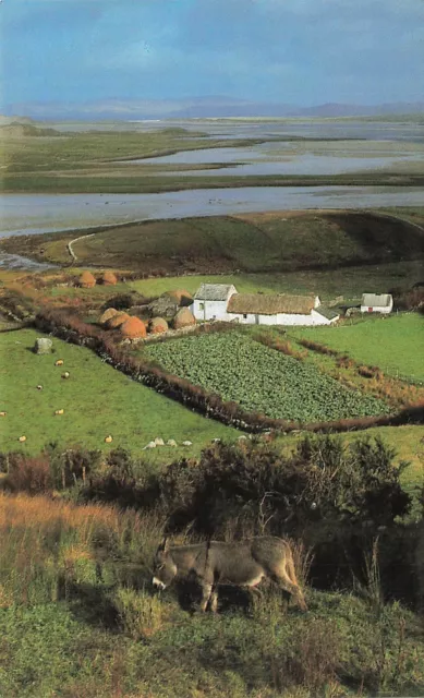 Ireland Postcard, Bloody Foreland, Donegal, Large Format Card PG8