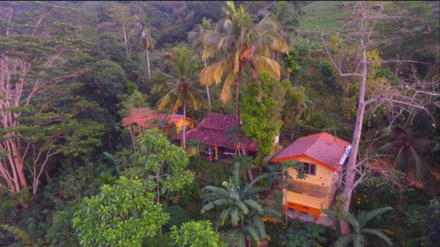 Traumhaftes Natur Resort im Regenwald Sri Lankas