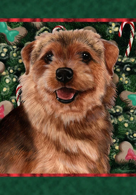 Christmas Holiday Garden Flag - Grizzle Norfolk Terrier