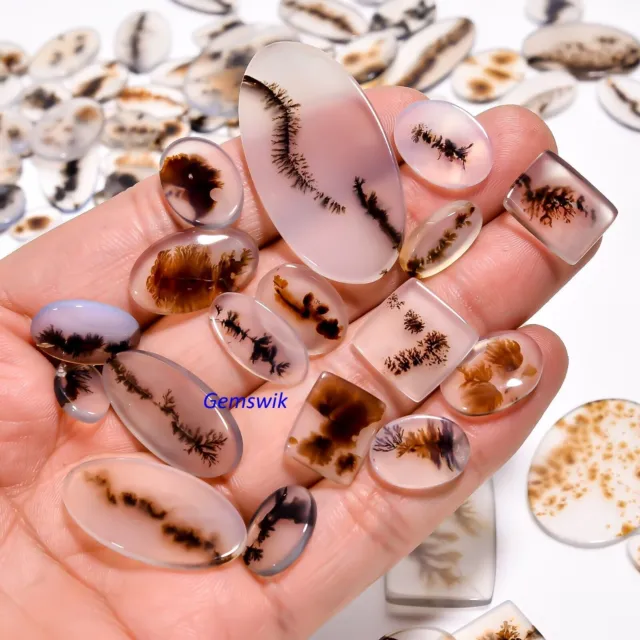 535.10Cts. Natural Lovely Scenic Dendritic Agate Mix Cabochon Loose Gemstone Lot