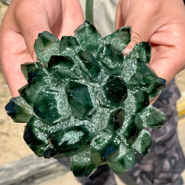 1.5LB New Find Green Phantom Quartz Crystal Cluster Mineral Specimen Healing 2