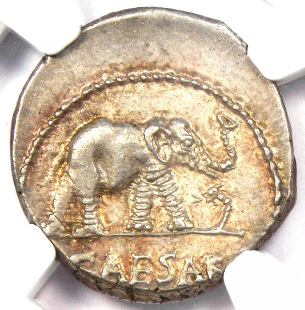 Elephant Coin File JULIUS CAESAR AR Denarius Silver Elephant Roman Coin 49 BC - Certified ...