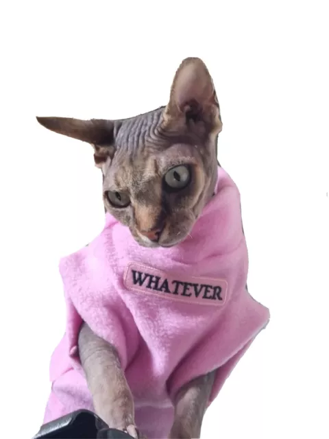 Sizes WHATEVER sweater for a Sphynx cat, pet costume, Hotsphynx, CAT clothes