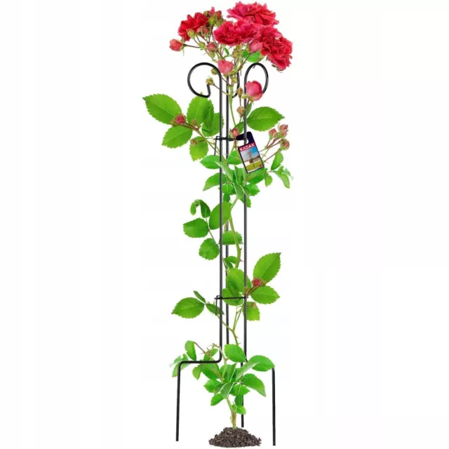 KADAX Enrejado de acero, soporte para plantas independiente para rosas, 120 cm